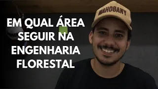 EM QUAL ÁREA SEGUIR DENTRO DA ENGENHARIA FLORESTAL