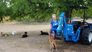 washing my tractor asmr