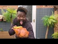Chicken Banana @crazy-music-channel