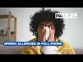 Oregon allergists say Spring pollen is in full-swing