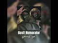 Zerrin Özer-Basit Numaralar(speed up)