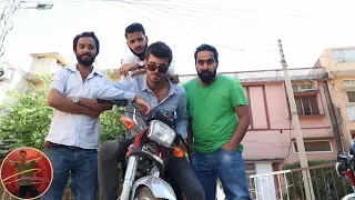 Pindi Boy from Netherlands (Aka Raja Mark)