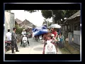 Download Lagu Lagu.Getah Rengas by.Singa Lodra Muda