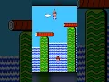 Infinite Bonus Coins in Super Mario 2