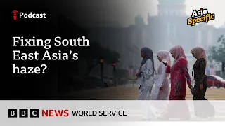 Why Indonesian farmers keep burning their land - Asia Specific podcast, BBC World Service