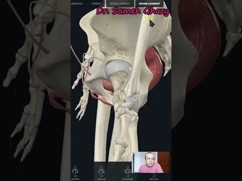 الرحم المقلوب