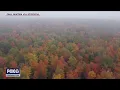 Fall colors in Northern Wisconsin caught on drone cam FOX6 News Milwaukee