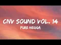 Lagu Pure Negga - Cnv Sound Vol. 14 (Letra/Lyrics)