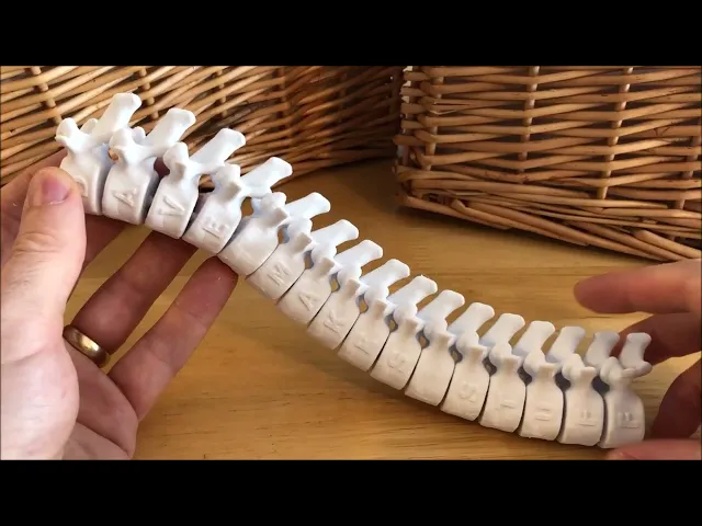 Custom Embossed Spine video thumbnail