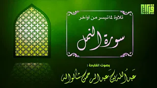 تلاوة لما تيسر من أوآخر سورة النمل || القارئ عبدالله بن عبدالرحمن شواله