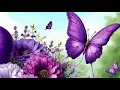 Ask CeeCee 5-10-2026