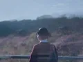 JUJU-SAKURA(short ver.) 【from いきものがかり meets 2】