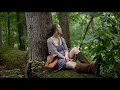 Download Lagu Embraced by the Forest