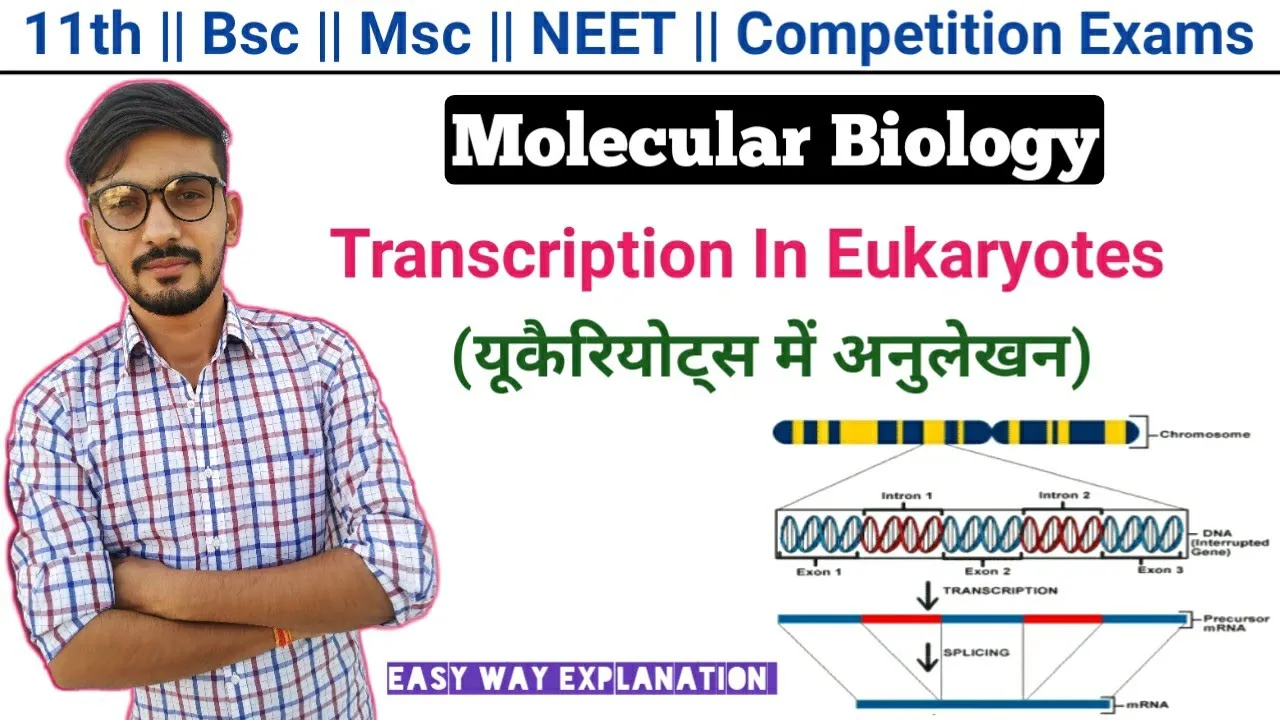 Transcription In Eukaryotes In Hindi || Molecular Biology || By Dadhich Sir