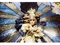 Download Lagu U Lovindonesia - Love The Blue of Indonesia
