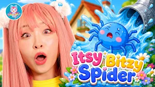ちっちゃなクモさん 2026ver | 指遊びの歌