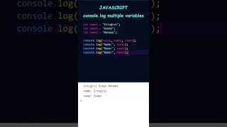 JavaScript Shorts Developer Console Logging Multiple Variables