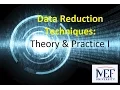 Data Reduction Techniques Theory Practice I