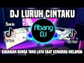 Download Lagu DJ LURUH CINTAKU - BAGAIKAN BUNGA YANG LAYU SAAT KEMARAU MELANDA REMIX FULL BASS TERBARU 2024