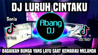 dj luruh cintaku bagaikan bunga yang layu saat kemarau melanda remix full bass terbaru 2024