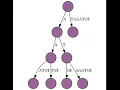 An implementation of the Suffix tree construction algorithm