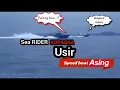 Download Lagu MENEGANGKAN!!! Kejar-kejaran SEA RIDER KOPASKA USIR SPEED BOAT TETANGGA
