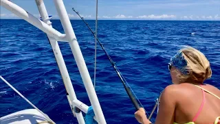 TUNA FISHING from A CATAMARAN!