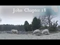 The Book of John Chapter 18 - New King James Version NKJV