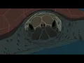 Mac DeMarco - Heart To Heart