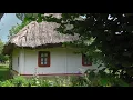 Красивая украинская песня. Черемшина.  #украинскаяпесня#Гнатюк#Черемшина#красиваяпесня#