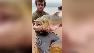 Случаи на Рыбалке, которые Хочется Пересматривать Снова и Снова