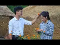 Download Lagu Taking care of the farm together Thu has done lovely things for Tu Phan