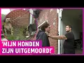 Download Lagu Gezinsdrama na slepende burenruzie: ‘Ziek van de stress!’