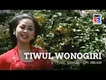 Download Lagu Nurhana - Tiwul Wonogiri (Karaoke) IMC RECORD JAVA