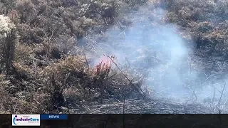 سوء جودة الهواء دخان حرائق الغابات المرتبط بحرائق المستنقعات دندنها