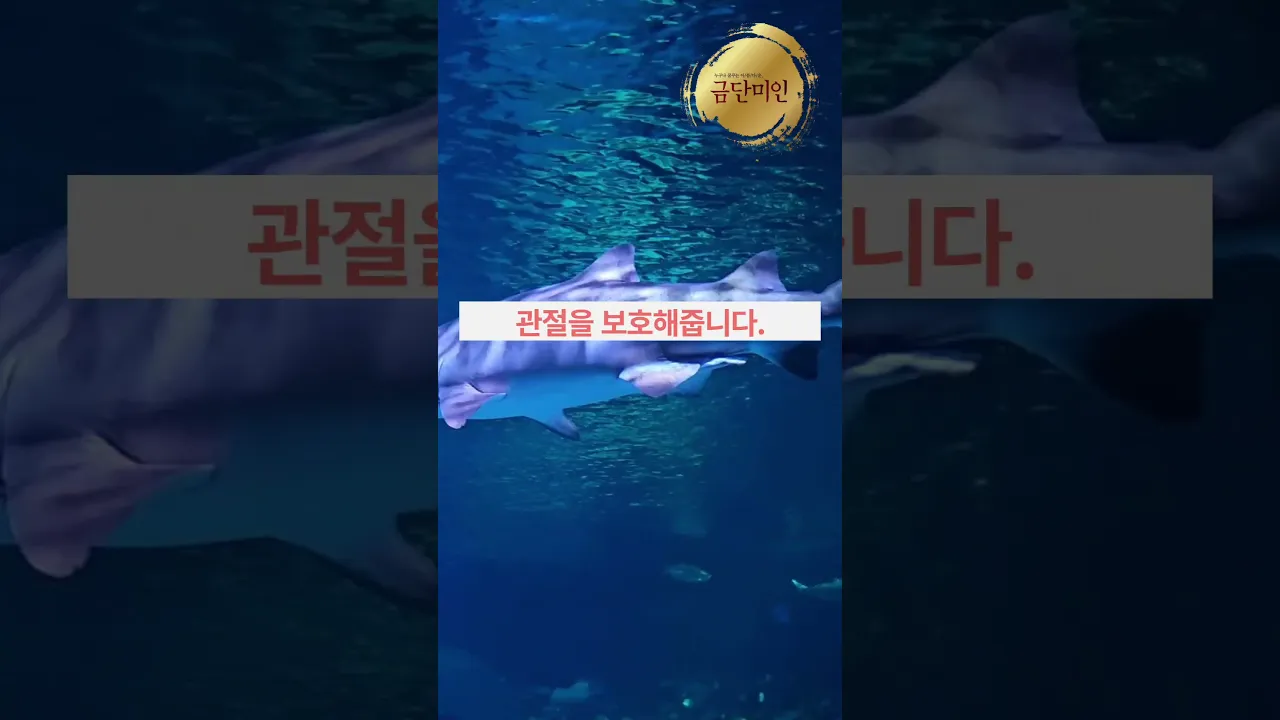 콘드로이친 단백질