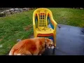 Bryan Gets Some Chairs