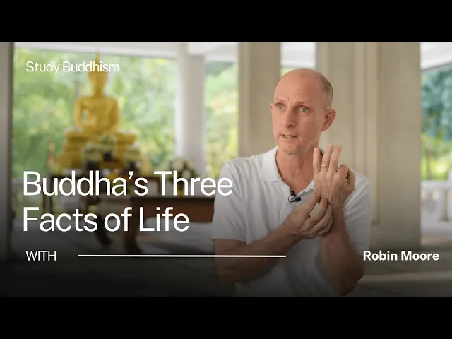 The 3 Things the Buddha Said About Reality | Robin Moore