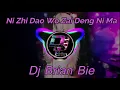 Download Lagu Ni Zhi Dao Wo Zai Deng Ni Ma 你知道我在等你吗 Remix By Dj Brian Bie