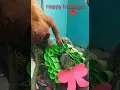 Red howler monkeys get a holiday wreath