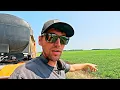 This Is The Year Farmers Dream Of