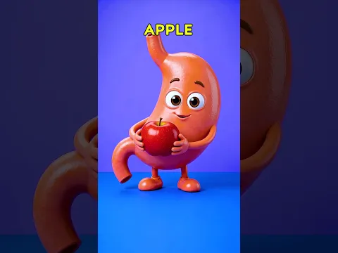 🌈 Our Organs And Their Favorite Foods 🫀