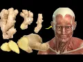 Download Lagu What Happens To Your Body When You Eat Ginger Everyday