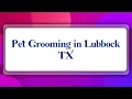 Top 10 Pet Grooming in Lubbock TX