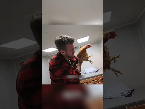100 मुर्गियों के साथ कमरे में बंद! हर दिन मिलते हैं $10,000 😱🐔