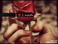 الوردة اللي نحكي عليها 🌹❤️🌹👌