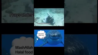 Shark Get A Halal Food Shorts Muslim Ramadan 