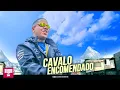 MC Magal - Cavalo Encomendado (Áudio Oficial) DJ Russo e DJ CK