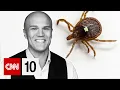 Why one tick bite is causing a rapidly growing red meat allergy June 2 2026