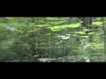 Subes 'Silent Flight'